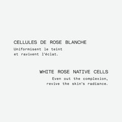 Radiance Night Serum — Botanical Blend with White Rose 0.50 floz