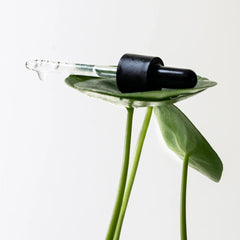 Mark-Fading Serum — 14% PHA + Centella Asiatica 1 floz